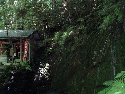c0105785_9555087.jpg