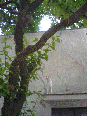 西荻ツアー_b0061491_031202.gif