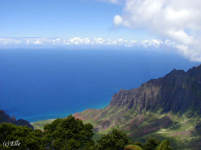 b0000801_1382292.jpg