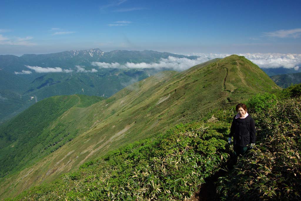 平標山花の旅　『ハクサンイチゲがお出迎え』 　Ⅱ　(6/23)_b0062024_21203610.jpg