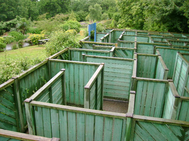 大雨の中。。。。_d0104926_5352024.jpg