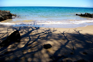 ＊わすれていたこと　しらないこと　　,Mauumae Hawaii_a0030038_1353472.jpg