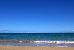 ＊わすれていたこと　しらないこと　　,Mauumae Hawaii_a0030038_137277.jpg