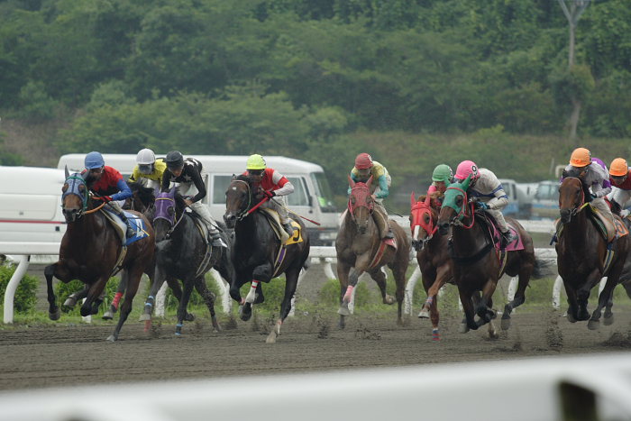 2007年6月24日（日） 高知競馬 7R_a0077663_20332681.jpg