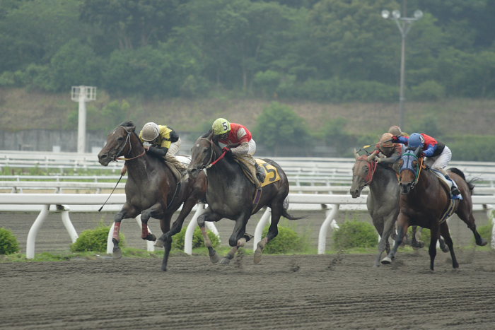 2007年6月24日（日） 高知競馬 7R_a0077663_20334092.jpg