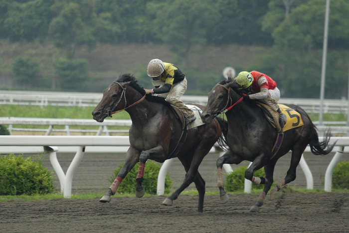 2007年6月24日（日） 高知競馬 7R_a0077663_20335670.jpg