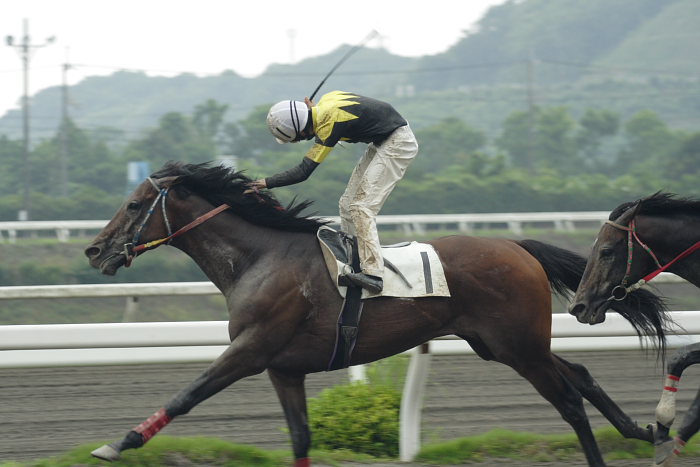 2007年6月24日(日) 高知競馬 7R_a0077663_2034859.jpg