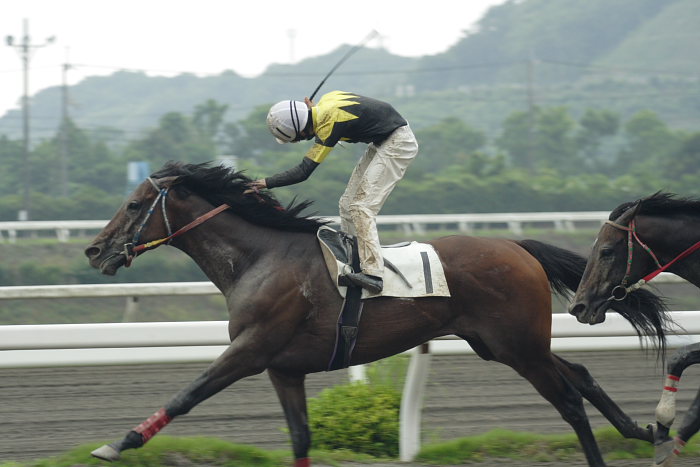 2007年6月24日（日） 高知競馬 7R_a0077663_2034859.jpg