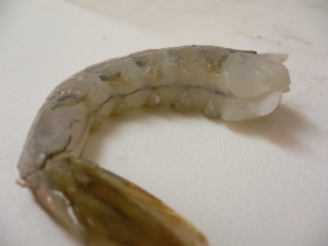 No.269　海老の背わた （deveined shrimps）_f0097972_11225284.jpg