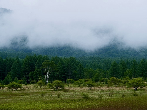 c0008502_112484.jpg