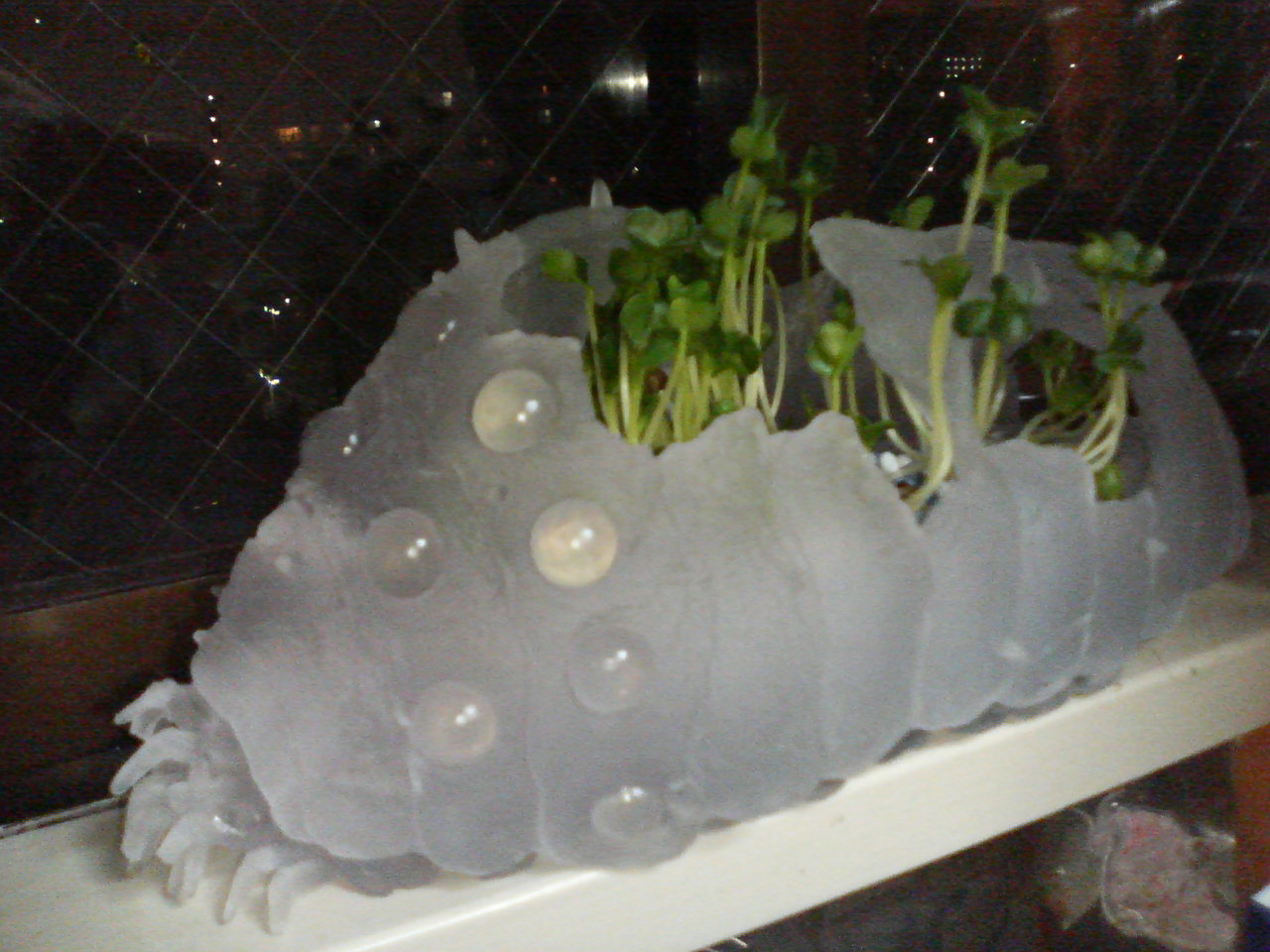 b0091728_2252739.jpg