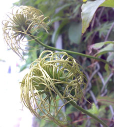 a0052641_2221799.jpg