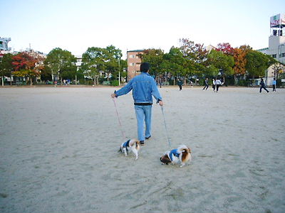 e0100046_220363.jpg
