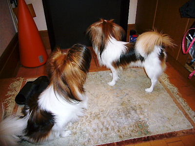 e0100046_22461868.jpg