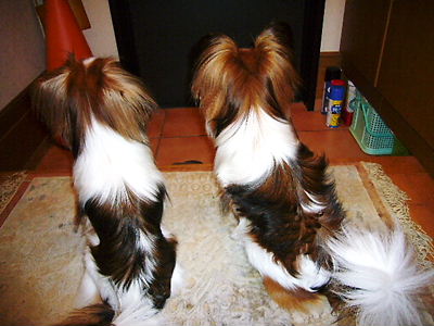 e0100046_224625.jpg