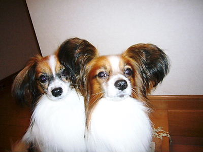 e0100046_22465533.jpg