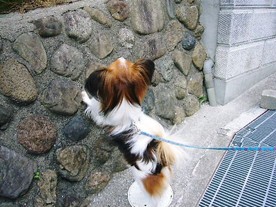 e0100046_22524149.jpg