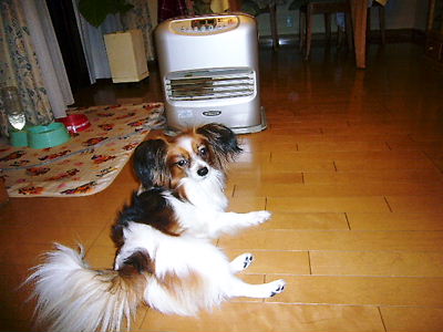 e0100046_22562385.jpg