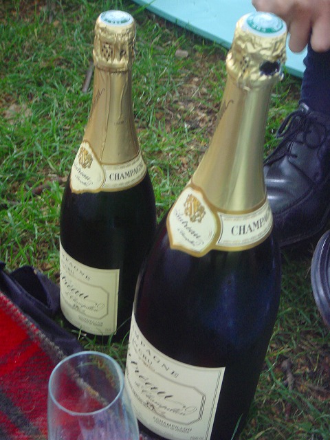 c0105551_81884.jpg