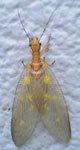 c0039153_23484142.jpg