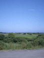 d0100254_2553835.gif