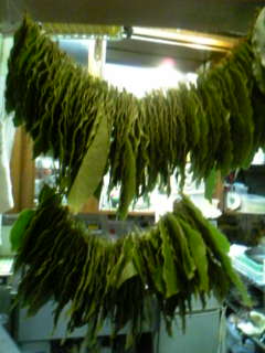 f0073958_0303197.jpg