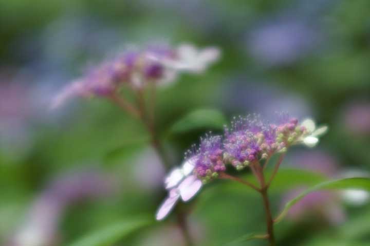 e0019563_21421215.jpg