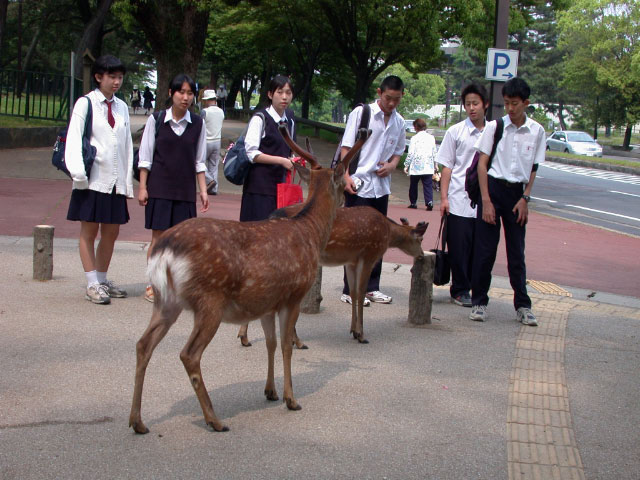 e0100772_23442011.jpg