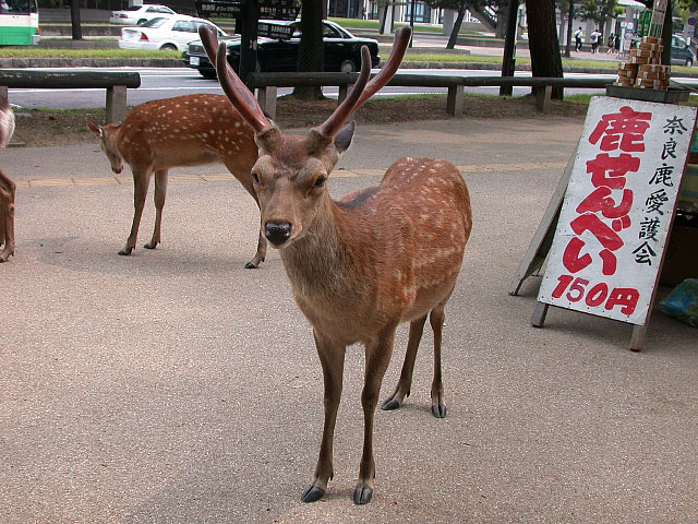 e0100772_23455373.jpg