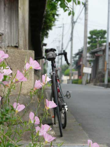 筋肉痛なので、今日はお散歩。_c0107075_20281650.jpg