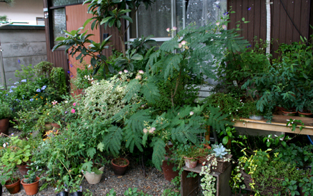 d0100095_1034210.jpg