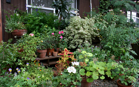 d0100095_1035378.jpg