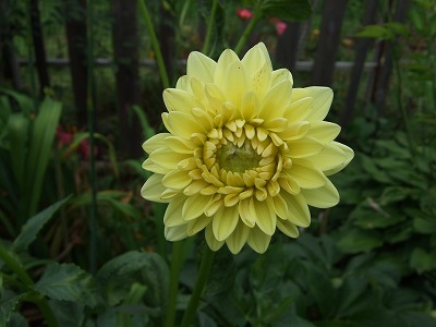 b0107310_13594768.jpg