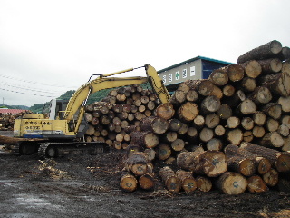 自宅を建てる木を見る　製材所見学_f0105112_13271673.jpg