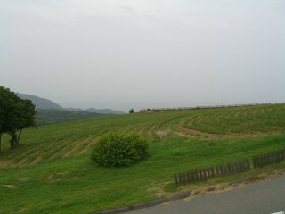 b0027830_2216538.jpg