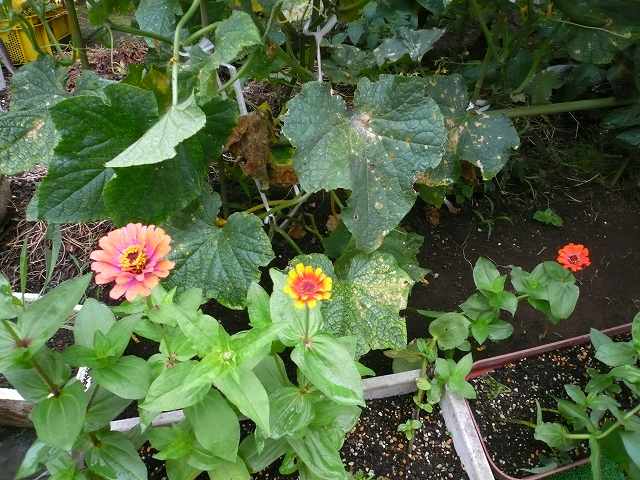 a0006033_14383685.jpg