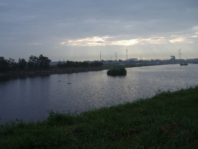 梅雨 の晴れ間は～_e0103733_195241.jpg