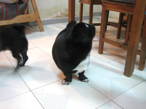 e0018143_2273432.jpg