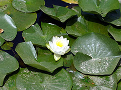 d0054855_1827389.jpg