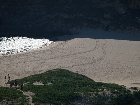 小笠原旅行記再び、南島上陸作戦！_a0001562_21153761.jpg