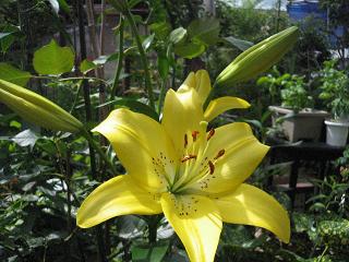 c0077283_17481.jpg