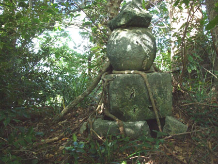 ガイド講習でした。_e0028387_17421411.jpg