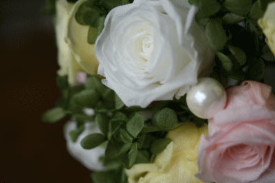 d0100192_20433637.gif