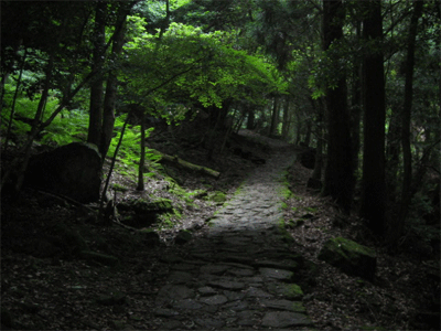 b0108100_21451531.gif