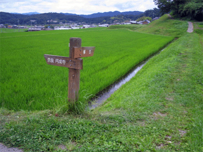 b0108100_22235394.gif