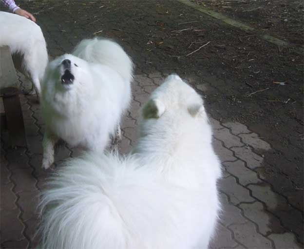 e0018604_2125050.jpg