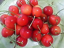 e0028505_18212150.jpg