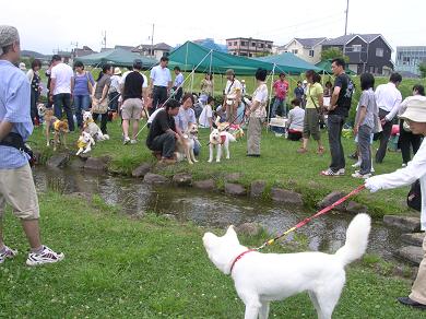 千葉ＷＡＮ臨時プチ里親会　in 多摩　_f0057509_21222958.jpg