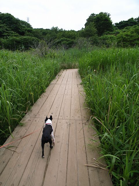 c0071611_845156.jpg