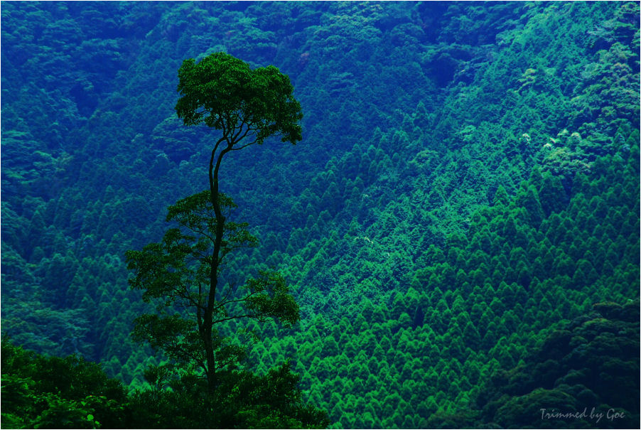 d0107811_050557.jpg